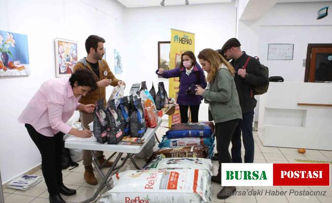 Bilet yerine mama aldılar