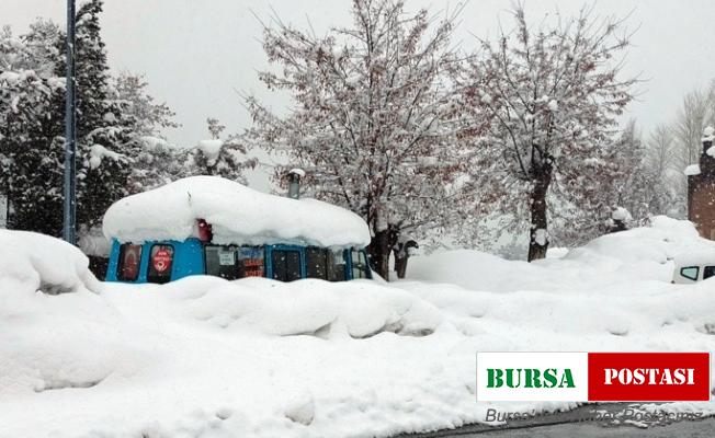 Bitlis’te 248 köy yolu ulaşıma kapandı