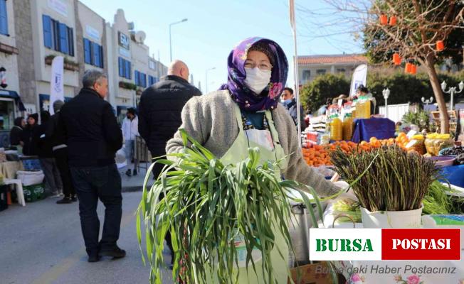 Bodrum acı ot festivaline binlerce kişi akın etti