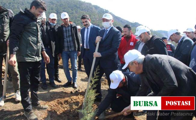 Bozyazı’da fidan dikim etkinliği