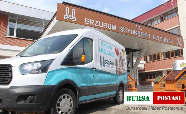 Bu da hayvan ambulansı