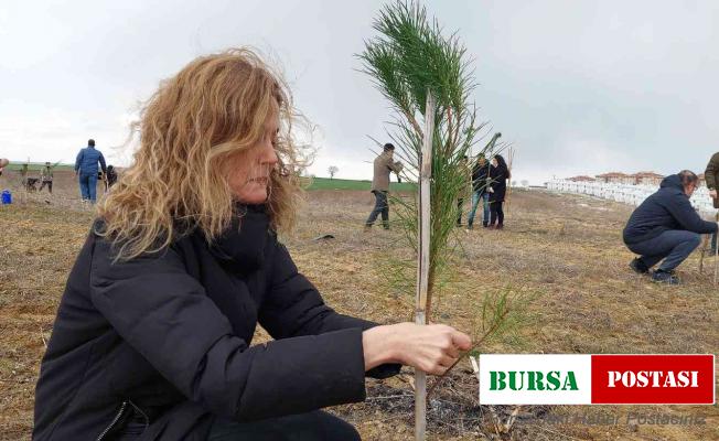 Bu fidanlar pandeminin baş kahramanları için boy gösterecek