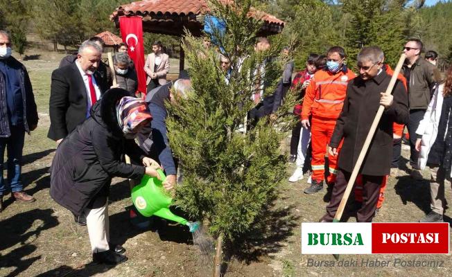 Bu fidanlar şehitlerin adıyla büyüyecek