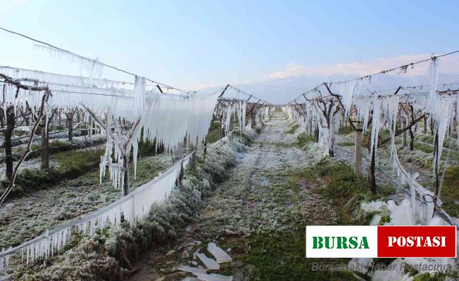 Burası Sibirya değil Manisa