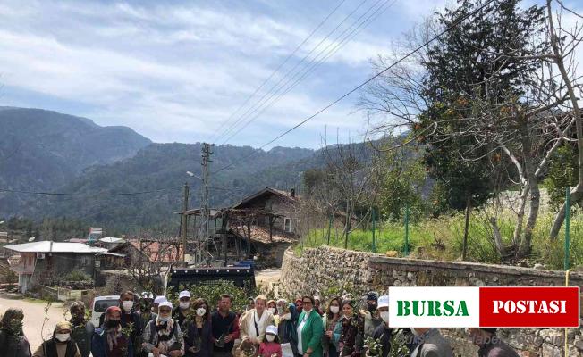 Büyükşehir Akseki’de defne fidanı dağıtıp defne sabunu yapımını anlattı