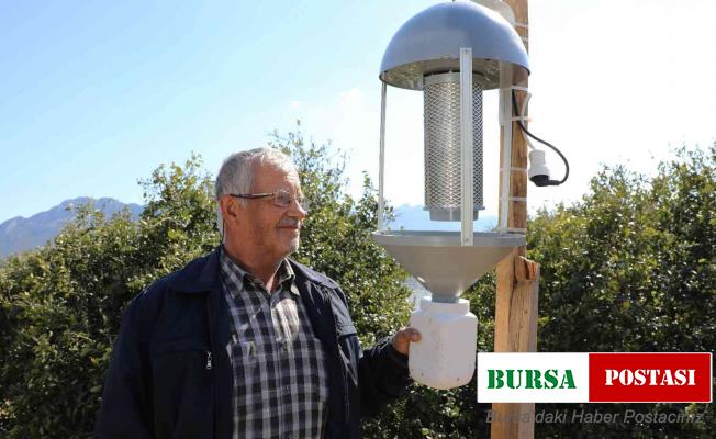 Büyükşehir domates güvesine ‘ışık tuzak’ kurdu