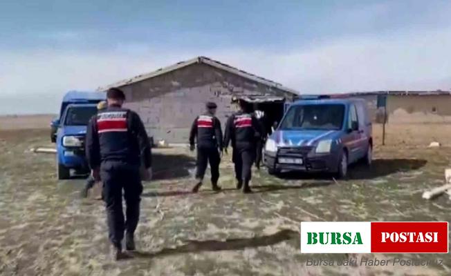 Çaldıkları koyunların parasını ödeyince serbest kaldılar