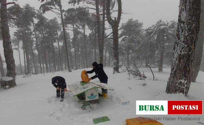 Can dostlar soğuk havalarda unutulmadı