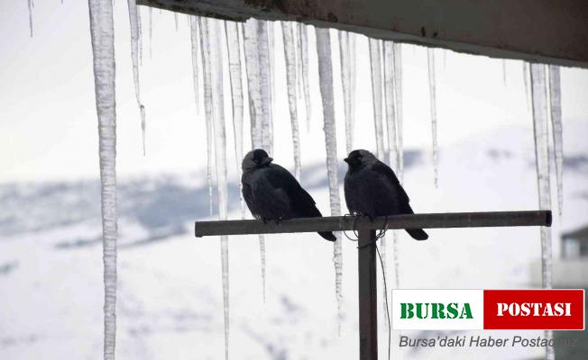 Çatılarda 2 metrelik buz sarkıtları oluştu