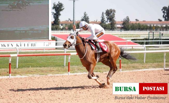ÇGC Koşusunu “Bebesha” kazandı