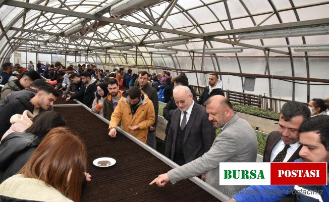 Çiçeklerin geliri kırsal mahalle okullarına