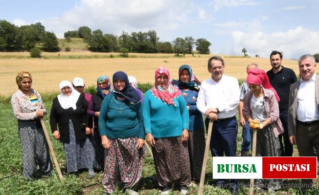 Çiftçilere 129 bin fidan 172 bin tohum desteği yapıldı