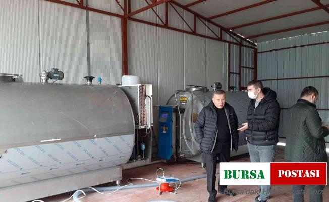 Çiğ süt uygun koşullarda toplanacak