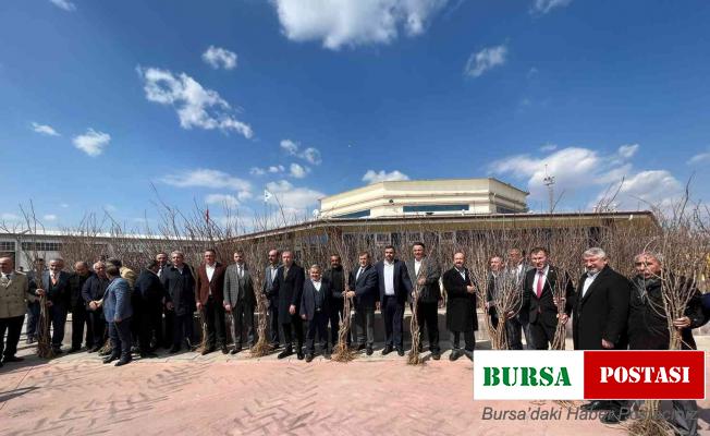 Çorum’da süne ile mücadele çerçevesinde 7 bin 300 dut fidanı dağıtıldı