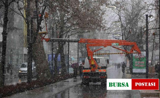 Cumhuriyet Bulvarına kar altında son dokunuşlar