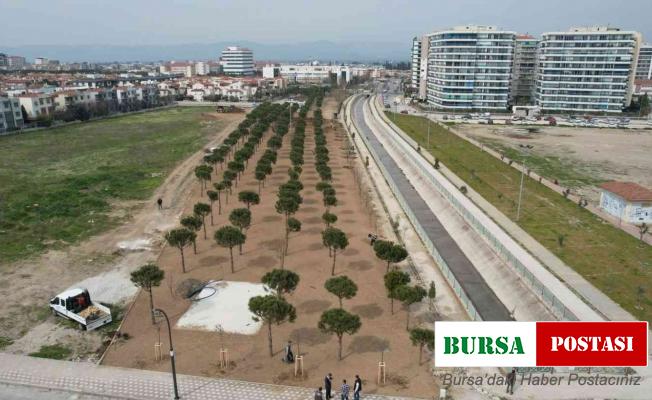 Cumhuriyet Mahallesi’nde 12 bin metrekarelik peyzaj çalışması