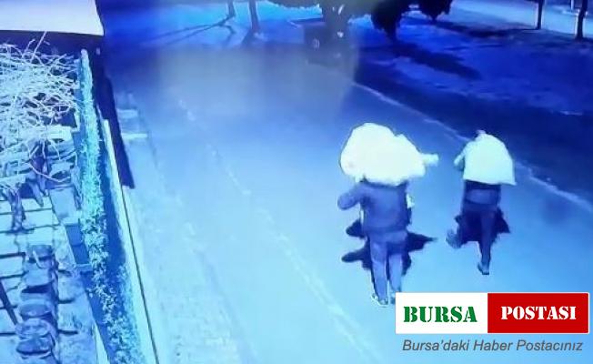 Çuvallı hırsızlar kamerada