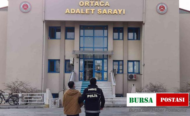 Dalaman’da uyuşturucu operasyonu