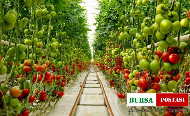 Denizlili çiftçilere özel zararlılarla mücadele desteği verilecek