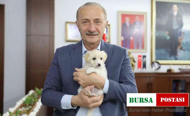 Didim’de can dostlar emin ellerde