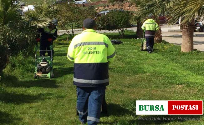 Didim’de yeşil alanlarda çalışmalar devam ediyor