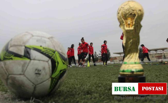 Diyarbakır’ın fabrika gibi okulu, milli takımlara sporcu yetiştiriyor