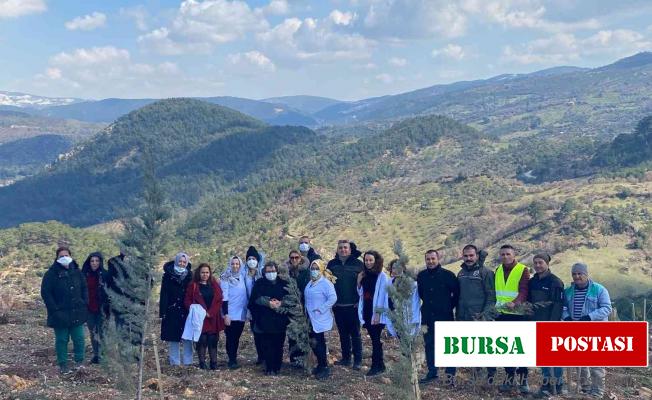 Doktorlar Tıp Bayramında defne ağacı diktiler