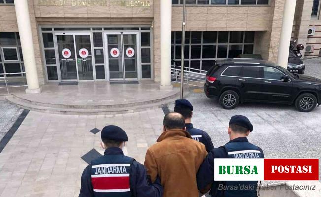 Döviz Change dolandırıcılığına 2 tutuklama