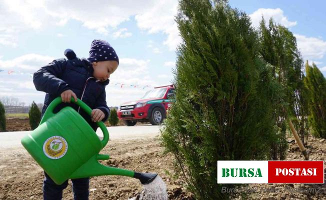 Edirne’de bu yıl hedef: 2 buçuk milyon fidan