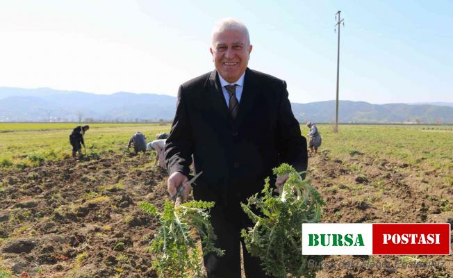 Efeler’de şevketi bostanların ilk hasadını Başkan Atay yaptı