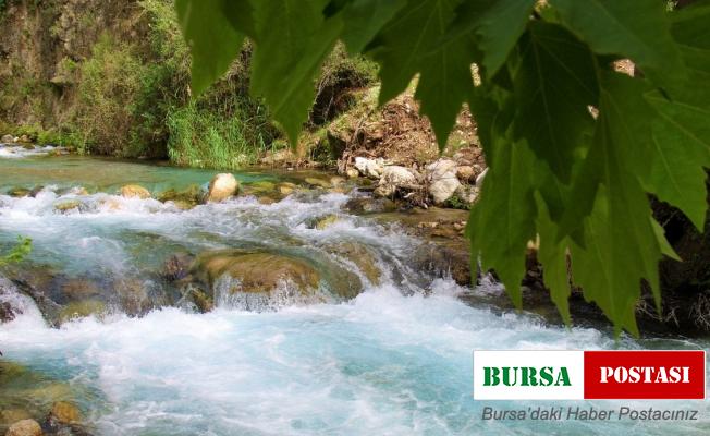 EKODOSD, suyun önemine dikkat çekti