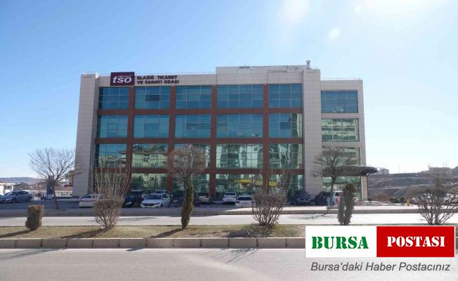 Elazığ’da ücretsiz dut fidanı dağıtılacak