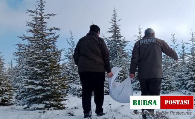 Elazığ’da yaban hayvanları için doğaya yem bırakıldı