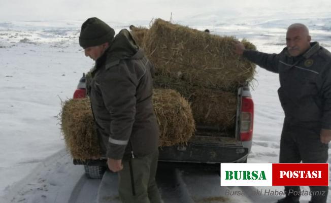 Elazığ’da yaban hayvanları için doğaya yem bırakıldı