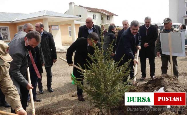 Erciş’te fidan dikimi