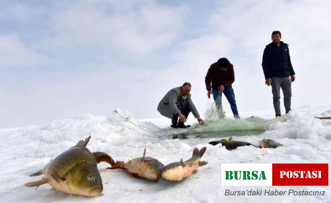Erzincan’da nisandan haziran ayının sonuna kadar sazan avı yasaklandı