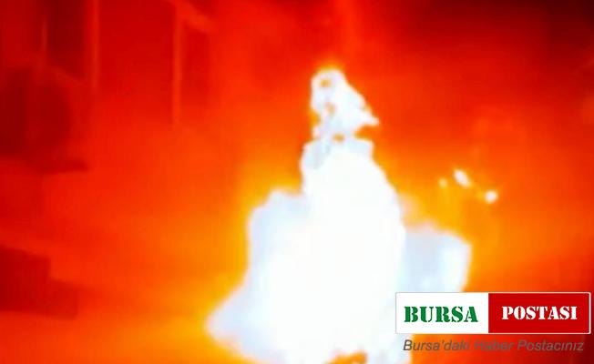 Fatih korkutan yangın: Dumandan etkilenen 4 kişi ve 6 kedi yavrusunu itfaiye ekipleri kurtardı