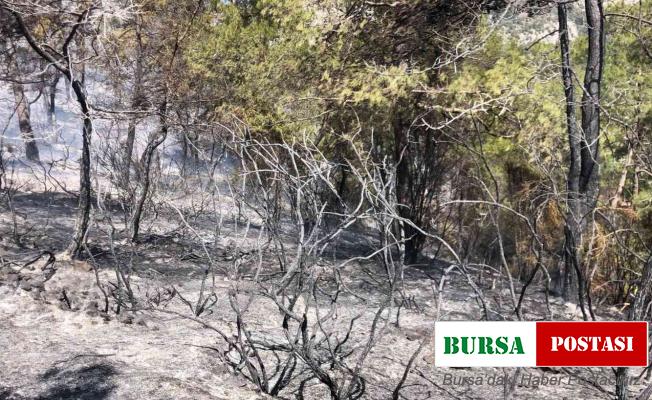 Fethiye’deki yangın kısmen kontrol altına alındı