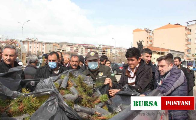 Fidan dağıtımında izdiham yaşandı