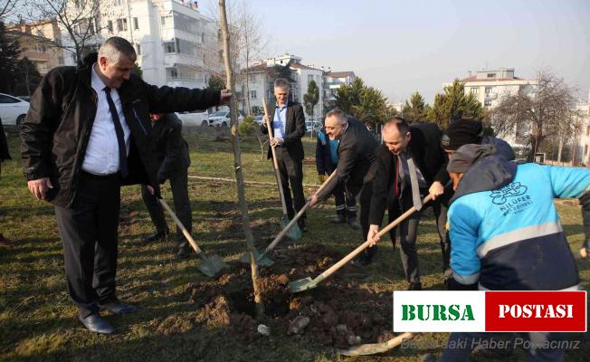 Fidanlar toprakla buluştu