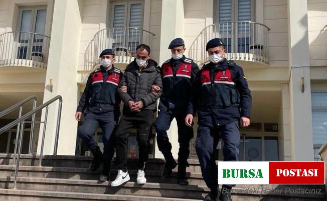 Firari hükümlüyü Jandarma yakaladı
