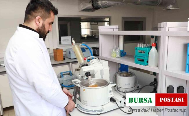 Gıda Mühendisliği laboratuvarları yeniden dizayn edildi