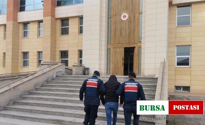 Gizemli hırsız yakayı ele verdi