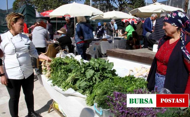 Göcek’te ot yemekleri festivaline ilgi yoğun oldu