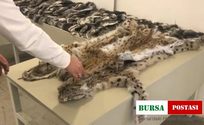 Gümrük muhafaza ekiplerinden kaçakçılara büyük darbe