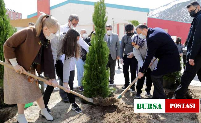 Gümüşhane Lisesinin bahçesine 16 selvi ağacı dikildi