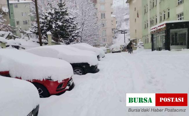Gümüşhane’de 3 ilçede kar tatili