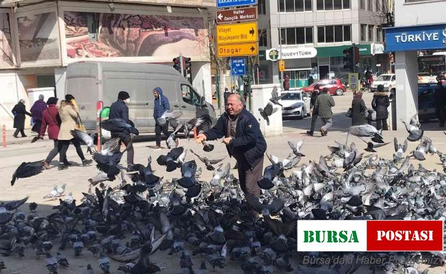 Güvercinlerin arasında yapılan besleme görenleri gülümsetti