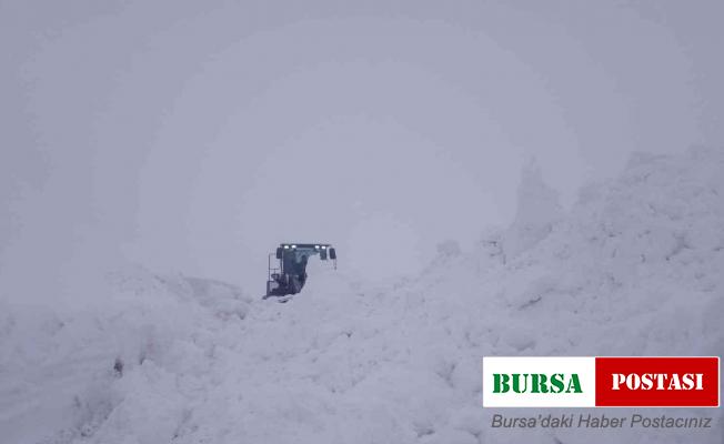Hakkari’de tüm köy ve mezra yoları ulaşıma açıldı