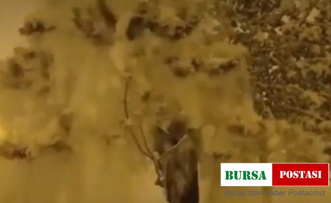 Hakkari’de vatandaşlar karın keyfini çıkardı